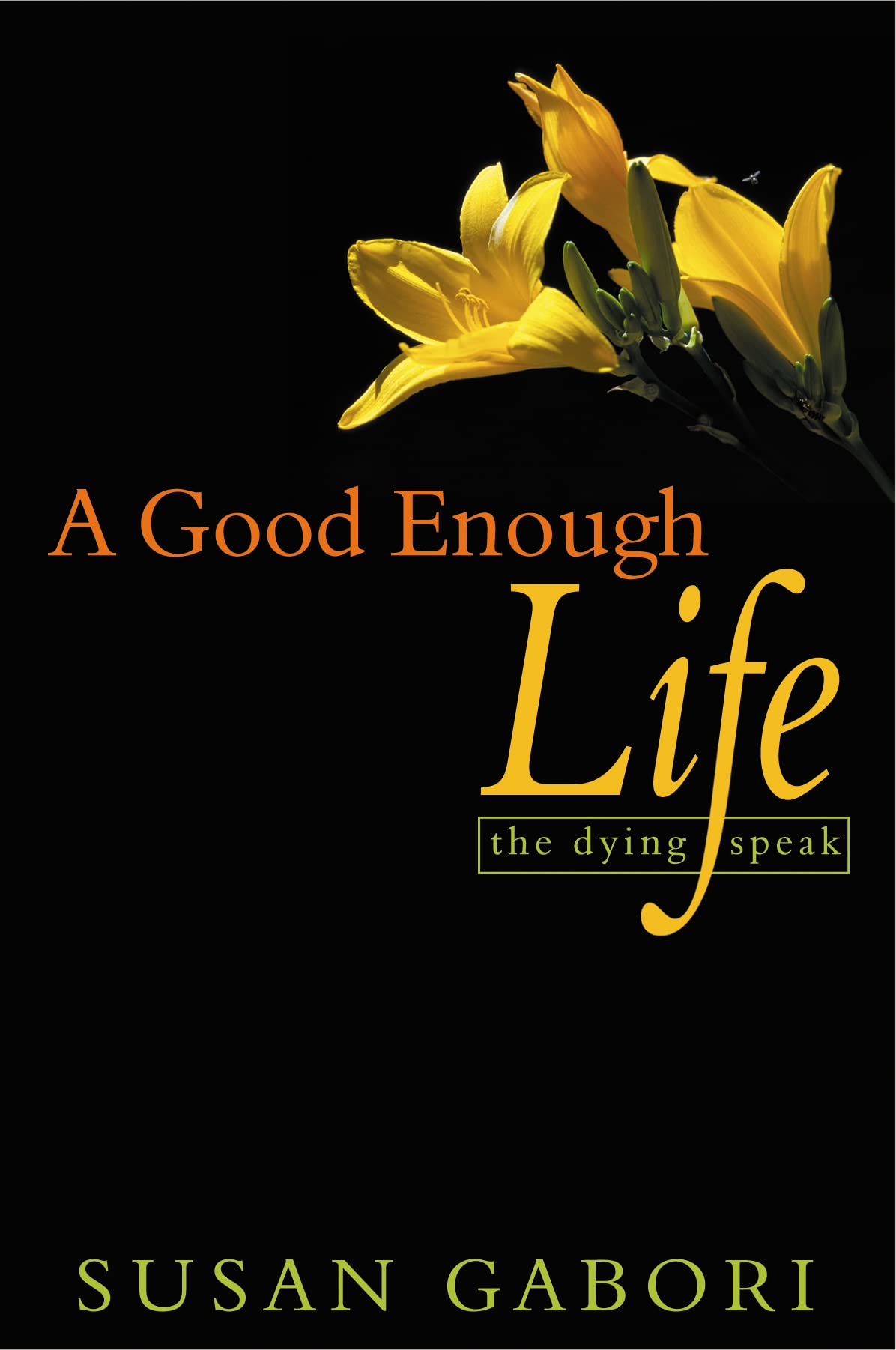 A Good Enough Life: The Dying Speak,Used