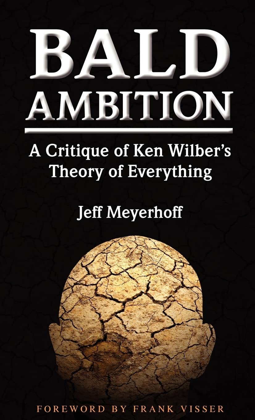 Bald Ambition: A Critique of Ken Wilber's Theory of Everything,Used