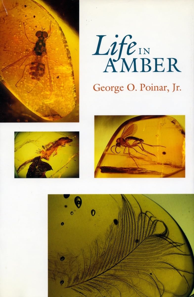 Life in Amber,Used