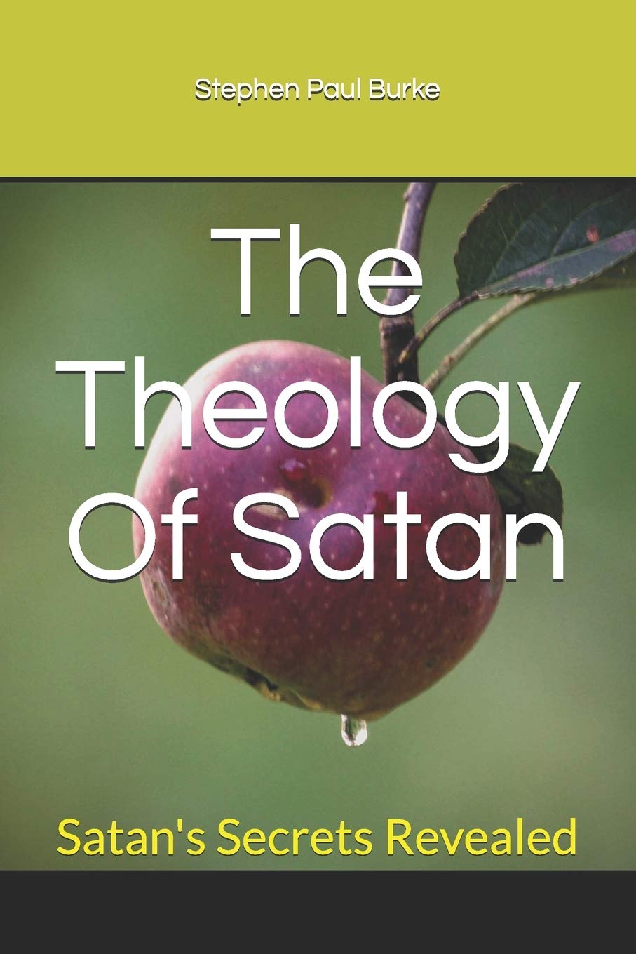 The Theology Of Satan: Satan's Secrets Revealed (Salvation To Success),Used