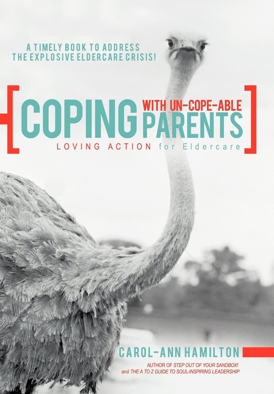 Coping With Uncopeable Parents: Loving Action For Eldercare,Used