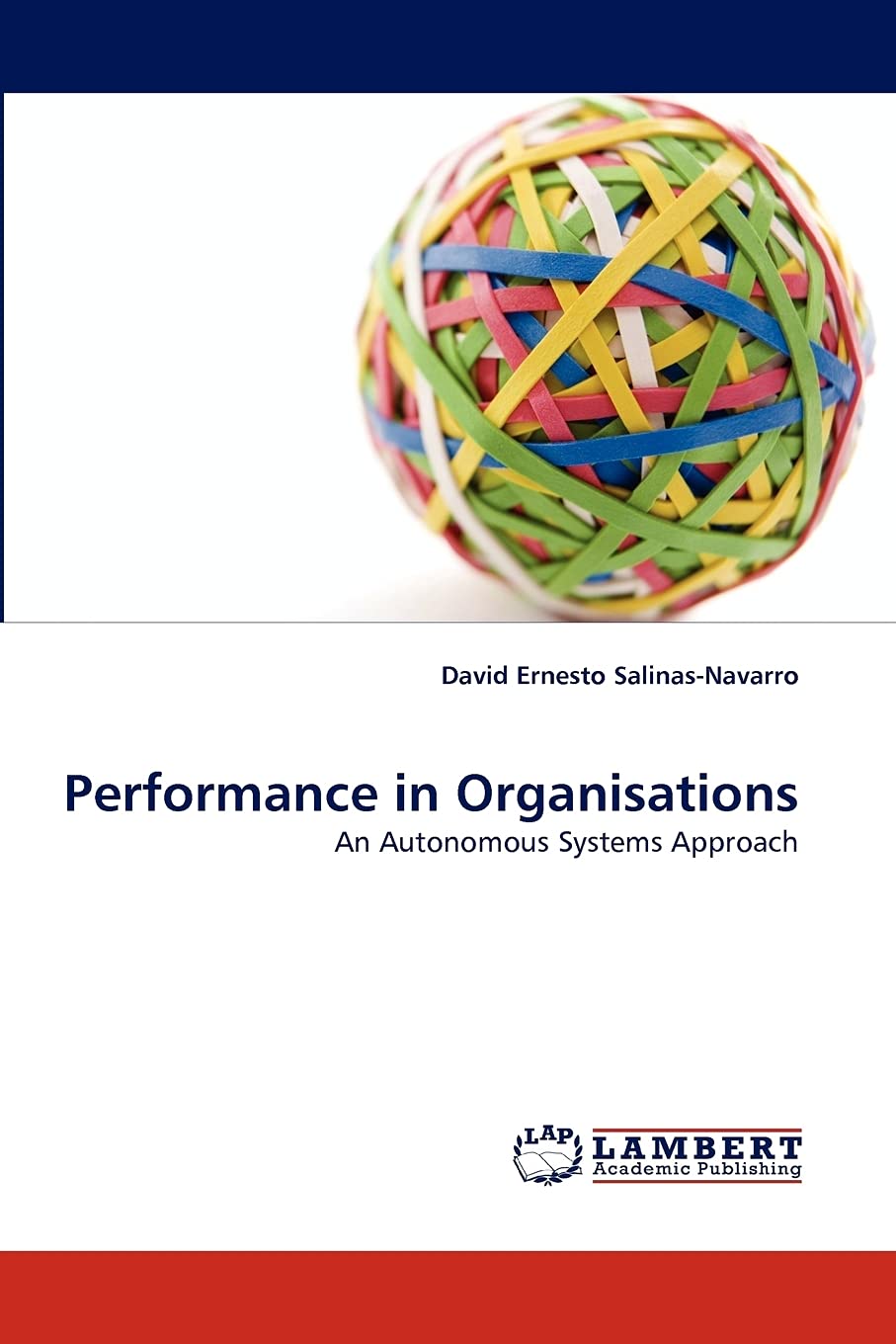 Performance in Organisations: An Autonomous Systems Approach,Used