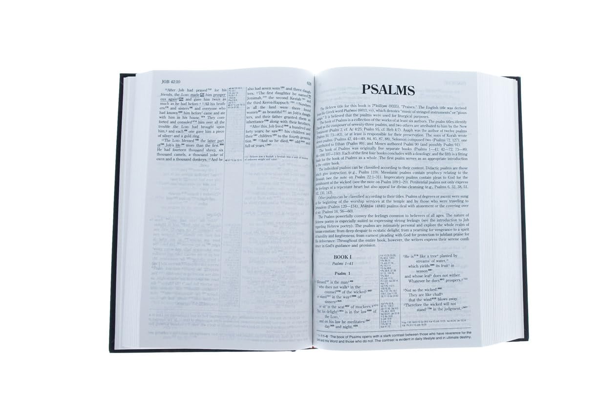 The HebrewGreek Key Study Bible/New International Version,New