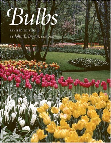 Bulbs,New