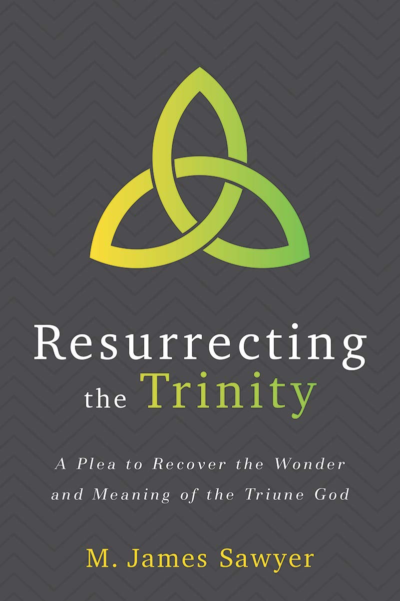 Resurrecting the Trinity: A Plea to Recover the Wonder and Meaning of the Triune God,Used