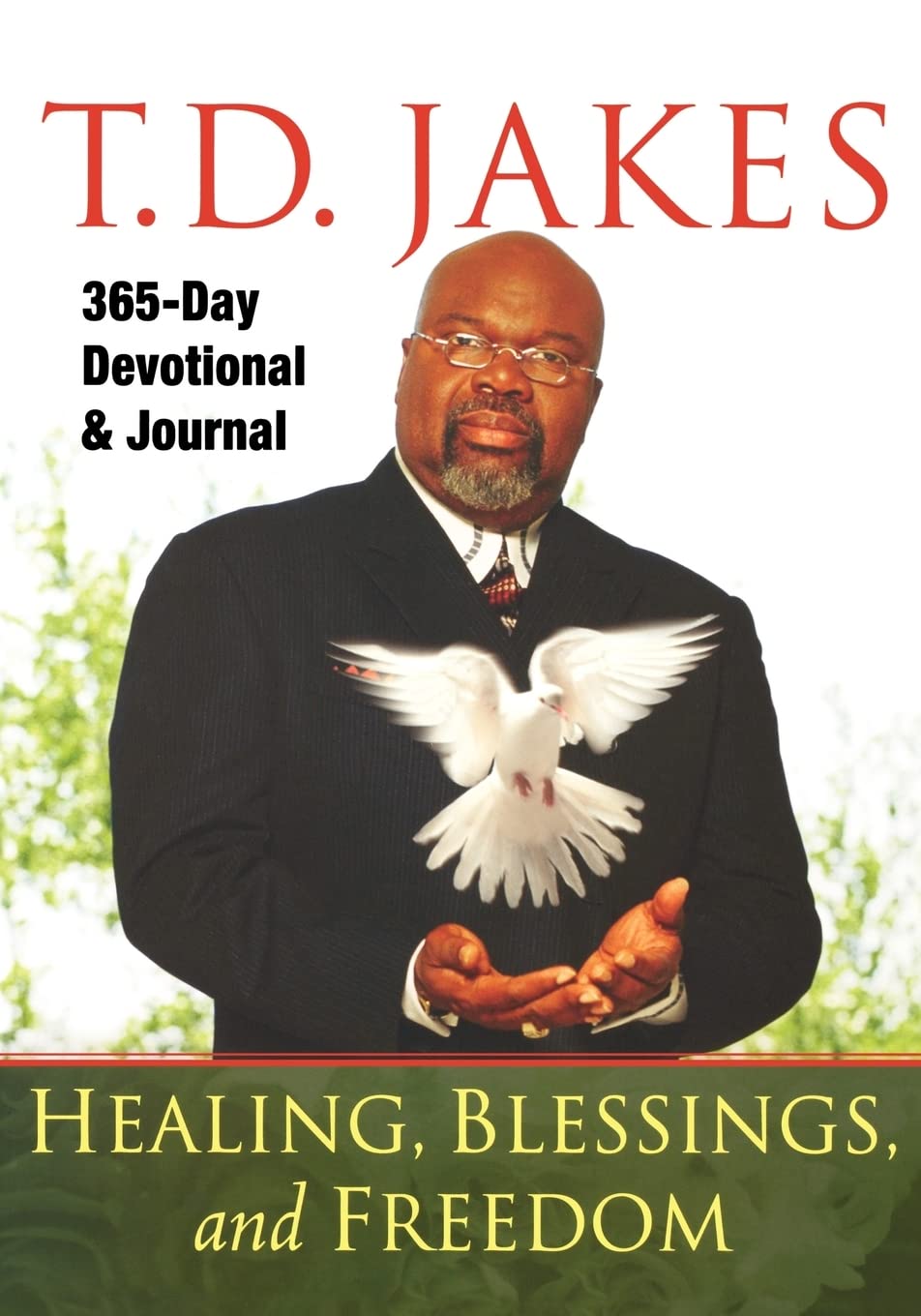 Healing, Blessings, And Freedom: 365Day Devotional And Journal,New