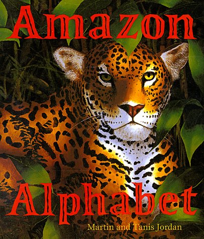 Amazon Alphabet,Used