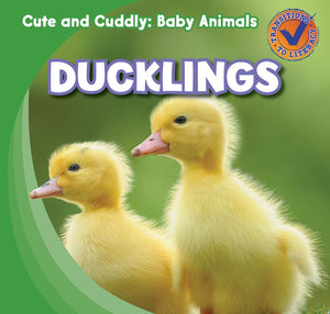 Ducklings (Cute And Cuddly: Baby Animals),Used