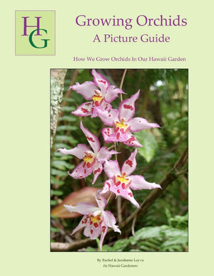 Growing Orchids  A Picture Guide: How We Grow Orchids In Our Hawaii Garden,Used
