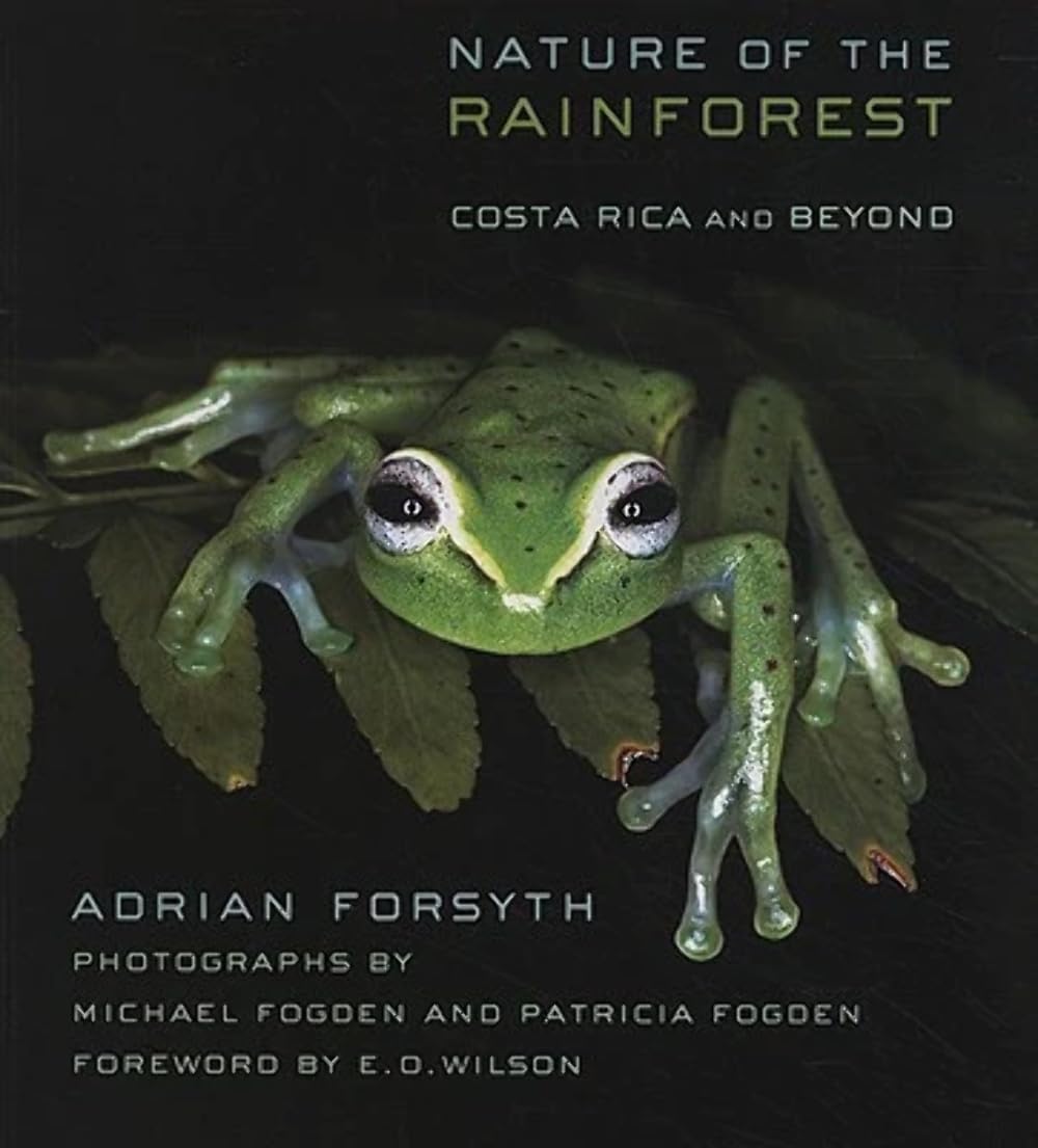 Nature Of The Rainforest: Costa Rica And Beyond (Zona Tropical Publications)