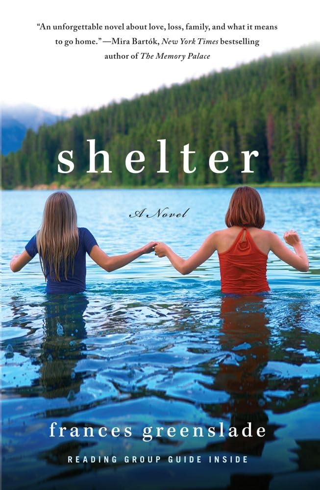 Shelter: A Novel,Used