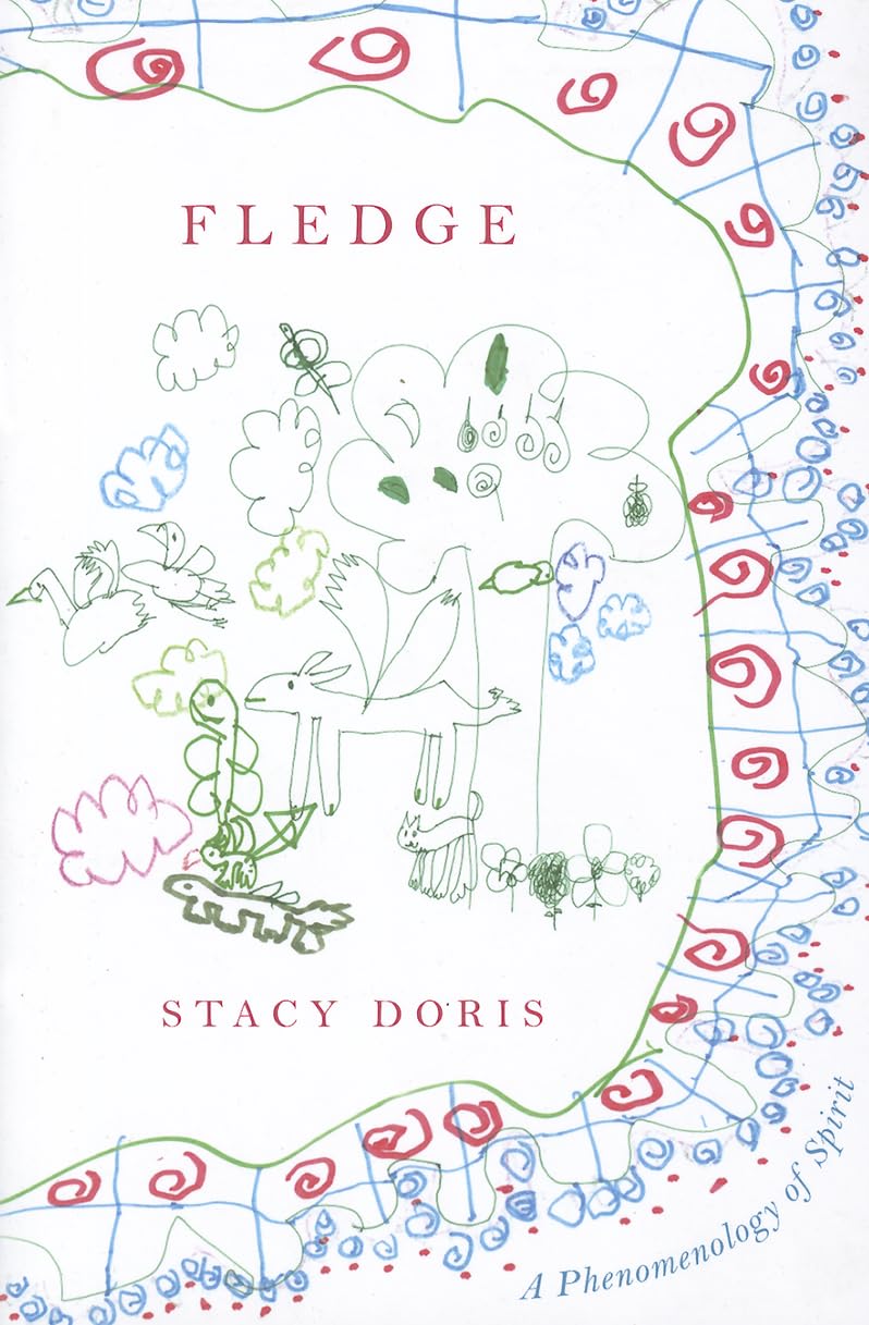 Fledge: A Phenomenology of Spirit,Used