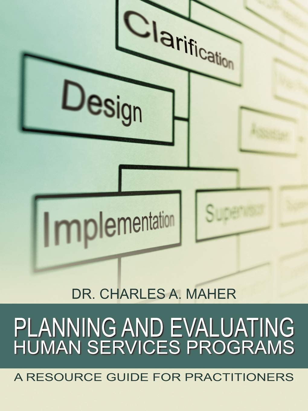 Planning and Evaluating Human Services Programs: A Resource Guide For Practitioners,Used