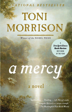 A Mercy,New