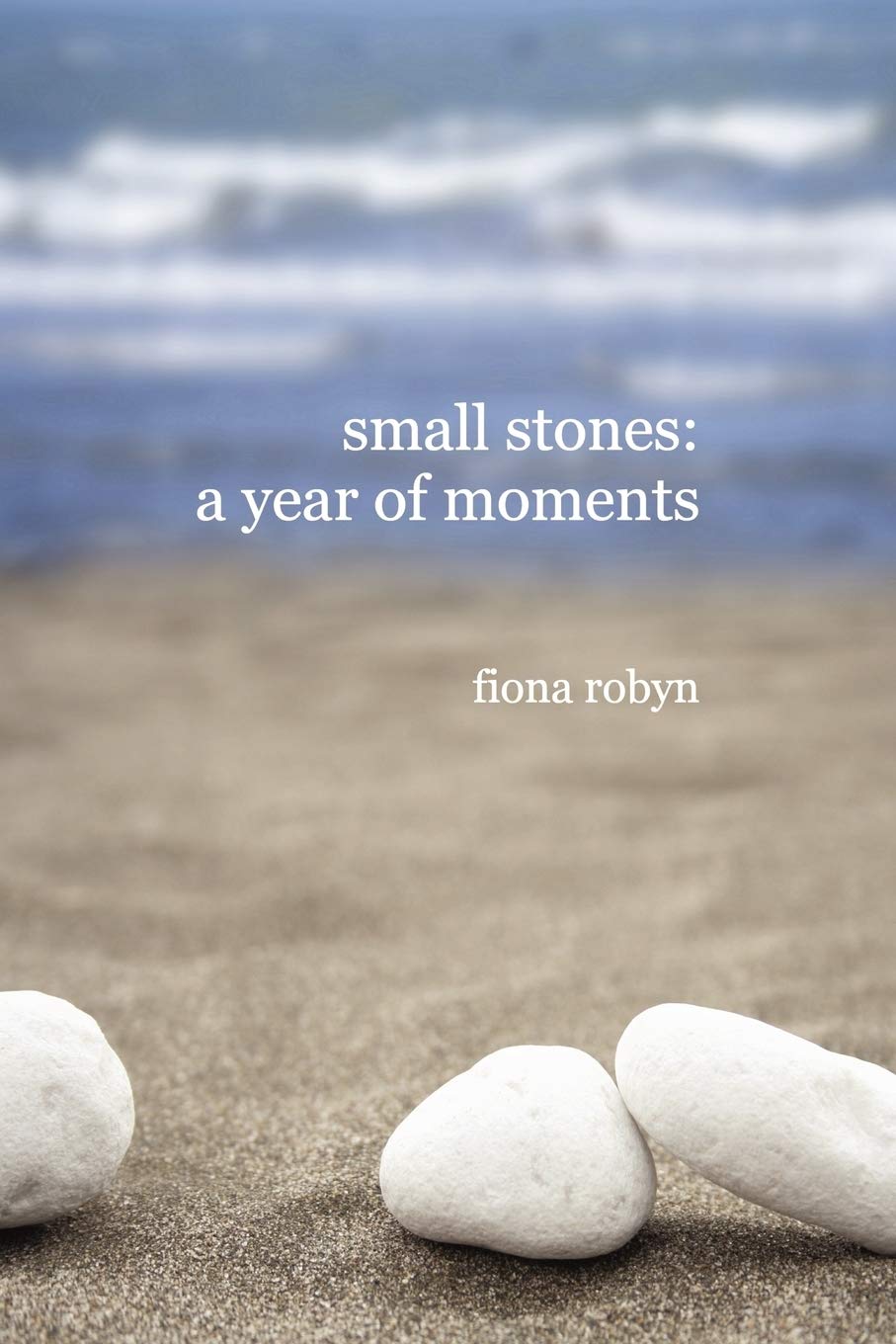 small stones: a year of moments,Used