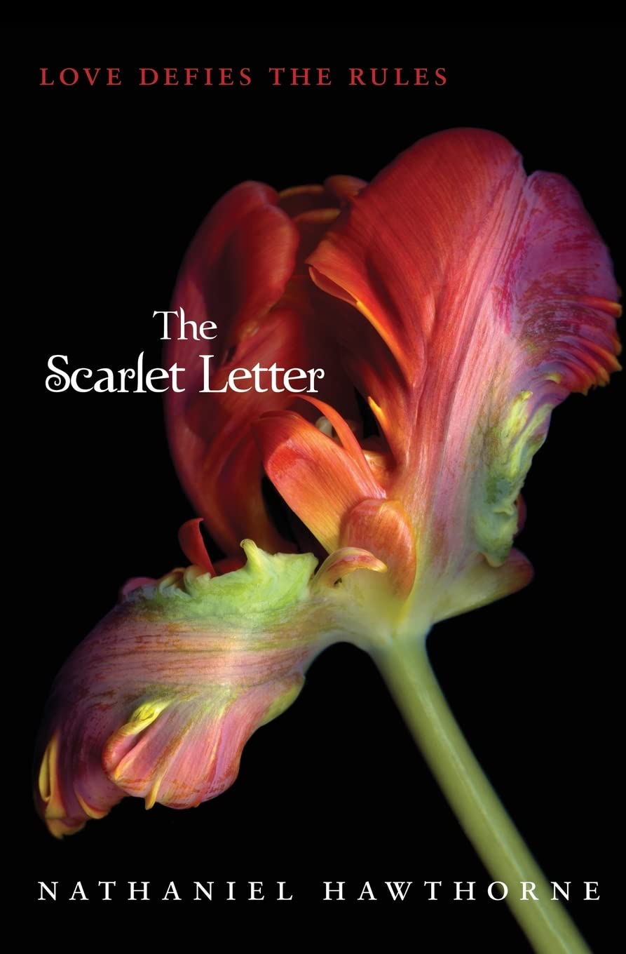 The Scarlet Letter (Teen Classics)