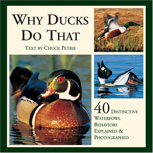 Why Ducks Do That: 40 Distinctive Waterfowl Behaviors Explained & Photographed,New
