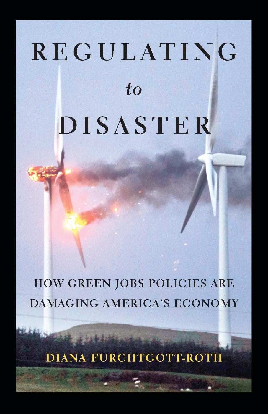 Regulating To Disaster: How Green Jobs Policies Are Damaging America'S Economy,Used