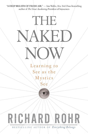 The Naked Now: Learning To See As the Mystics See,New