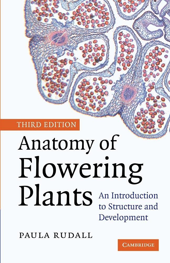 Anatomy of Flowering Plants: An Introduction to Structure and Development