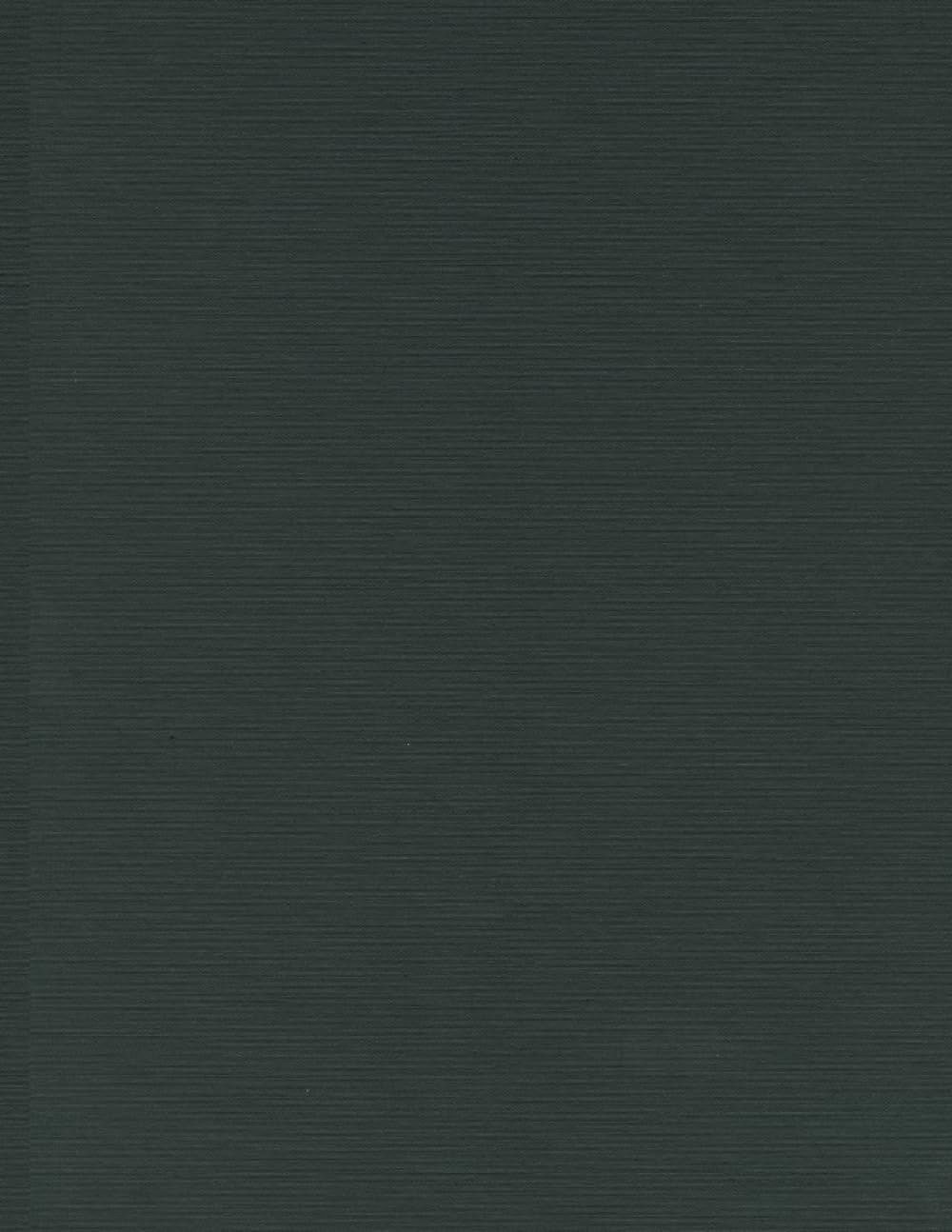 New York Subways: An Illustrated History of New York City's Transit Cars,New