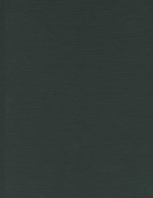 New York Subways: An Illustrated History of New York City's Transit Cars,New