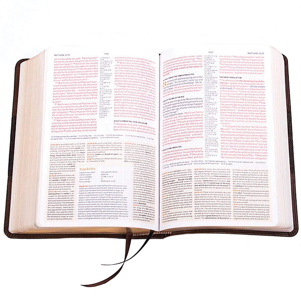 CSB Study Bible, Personal Size Edition, Mahogany LeatherTouch, Red Letter, Study Notes and Commentary, Illustrations, Ribbon Mar,Used