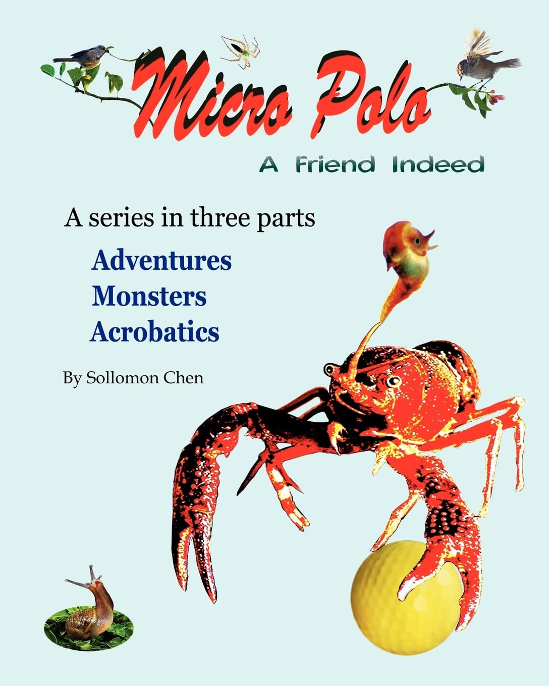 Micro Polo: A Friend Indeed,Used