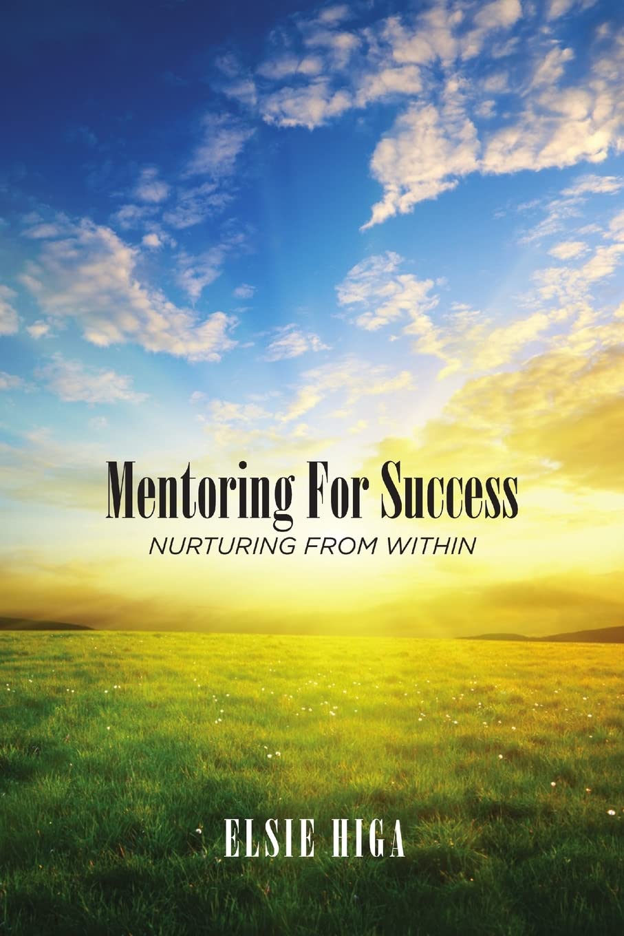 Mentoring for Success,Used