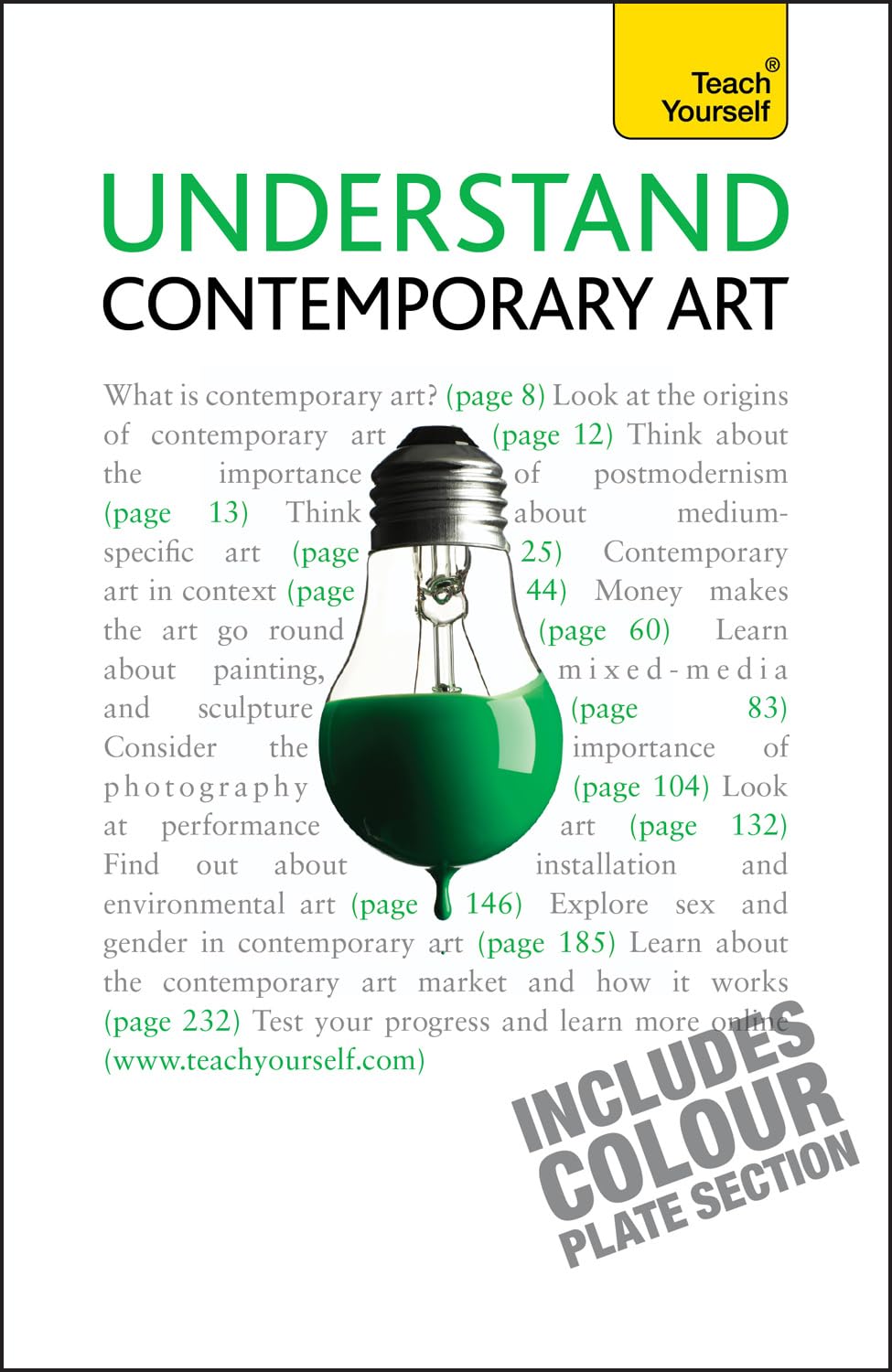 Understand Contemporary Art (Teach Yourself)