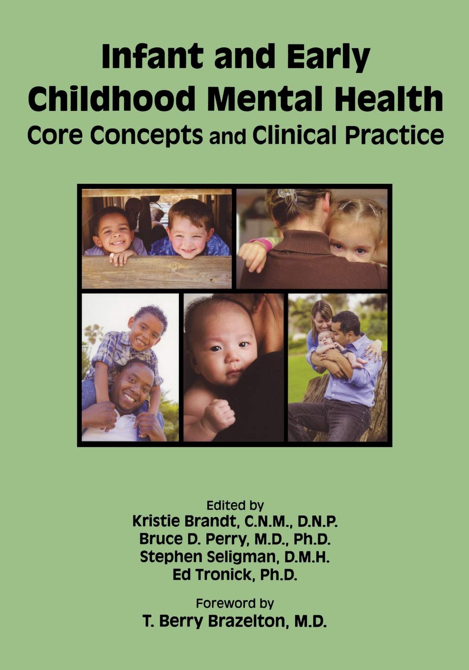 Infant And Early Childhood Mental Health: Core Concepts And Clinical Practice,Used
