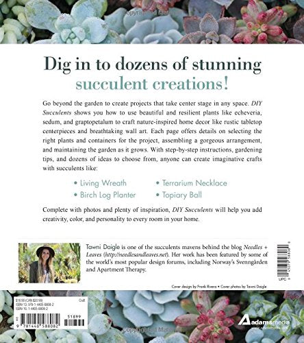 DIY Succulents: From Placecards to Wreaths, 35+ Ideas for Creative Projects with Succulents,Used
