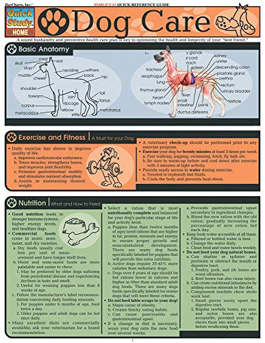 Dog Care (Quickstudy),Used
