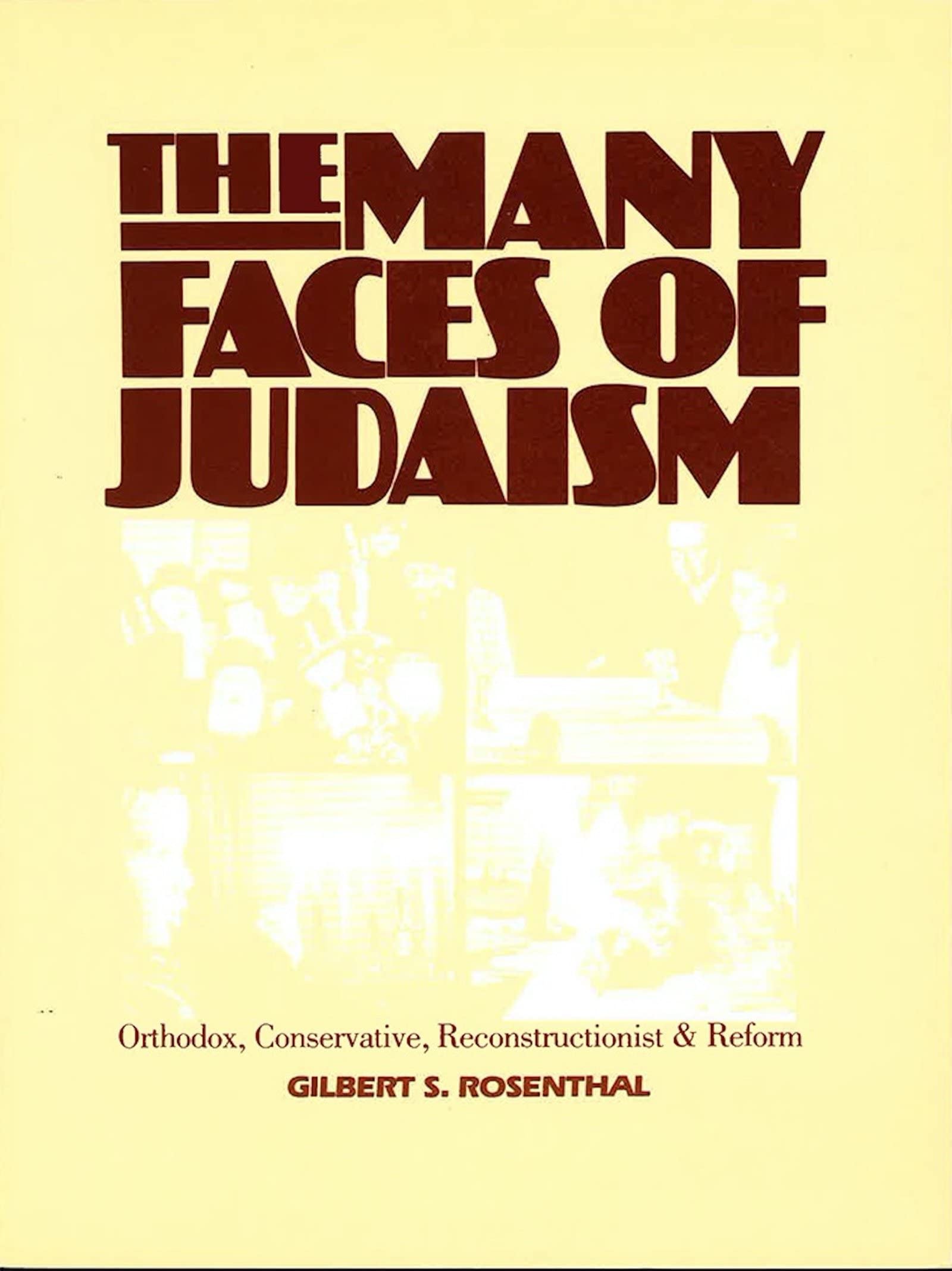 The Many Faces Of Judaism,Used
