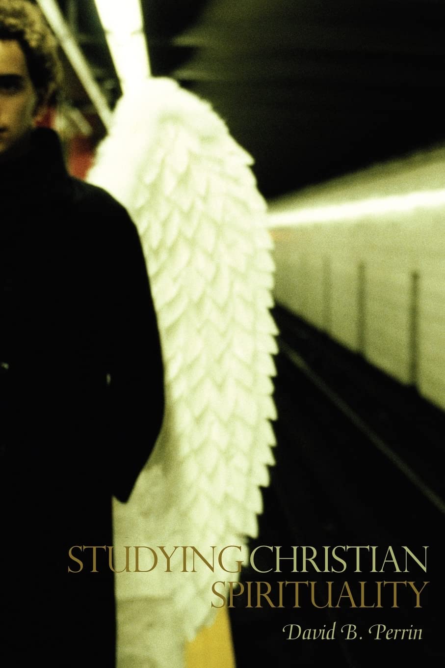 Studying Christian Spirituality,Used