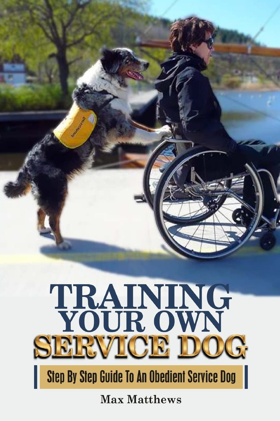 Training Your Own Service Dog: Step By Step Guide To An Obedient Service Dog,Used