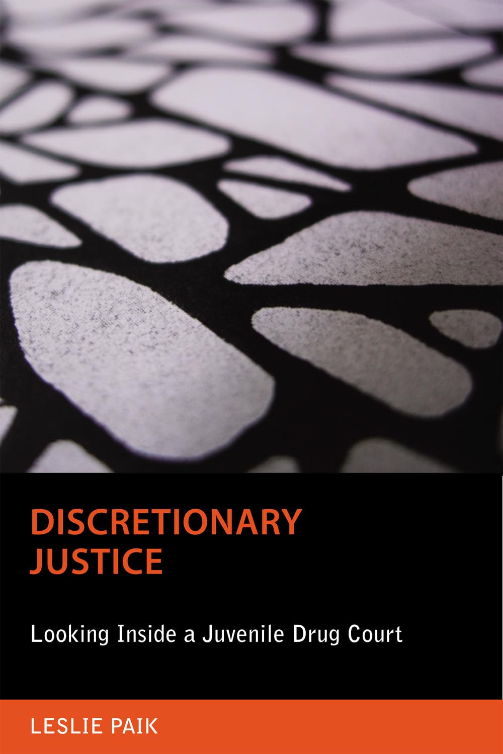 Discretionary Justice: Looking Inside A Juvenile Drug Court (Critical Issues In Crime And Society),Used