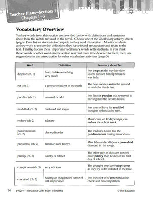 Bridge to Terabithia: An Instructional Guide for Literature  Novel Study Guide for 4th8th Grade Literature with Close Reading ,Used