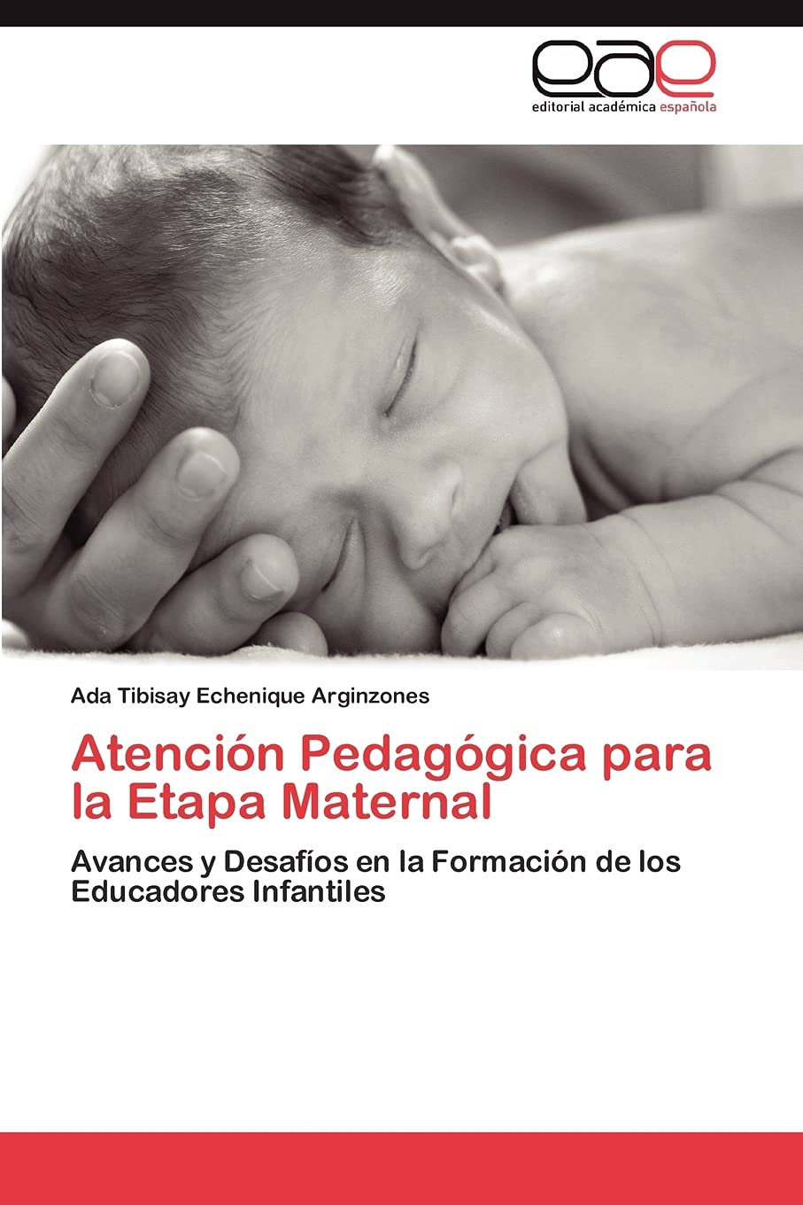 Atencin Pedaggica para la Etapa Maternal: Avances y Desafos en la Formacin de los Educadores Infantiles (Spanish Edition,Used