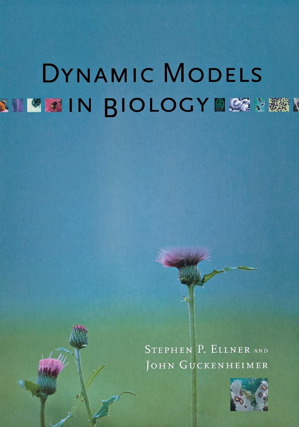 Dynamic Models in Biology,Used