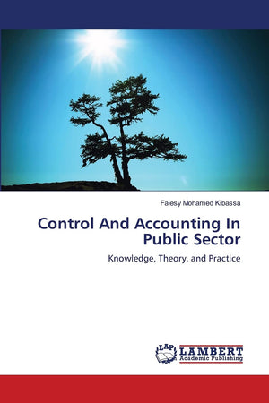 Control And Accounting In Public Sector: Knowledge, Theory, and Practice,Used