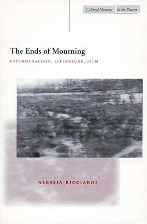 The Ends Of Mourning: Psychoanalysis, Literature, Film (Cultural Memory In The Present),New