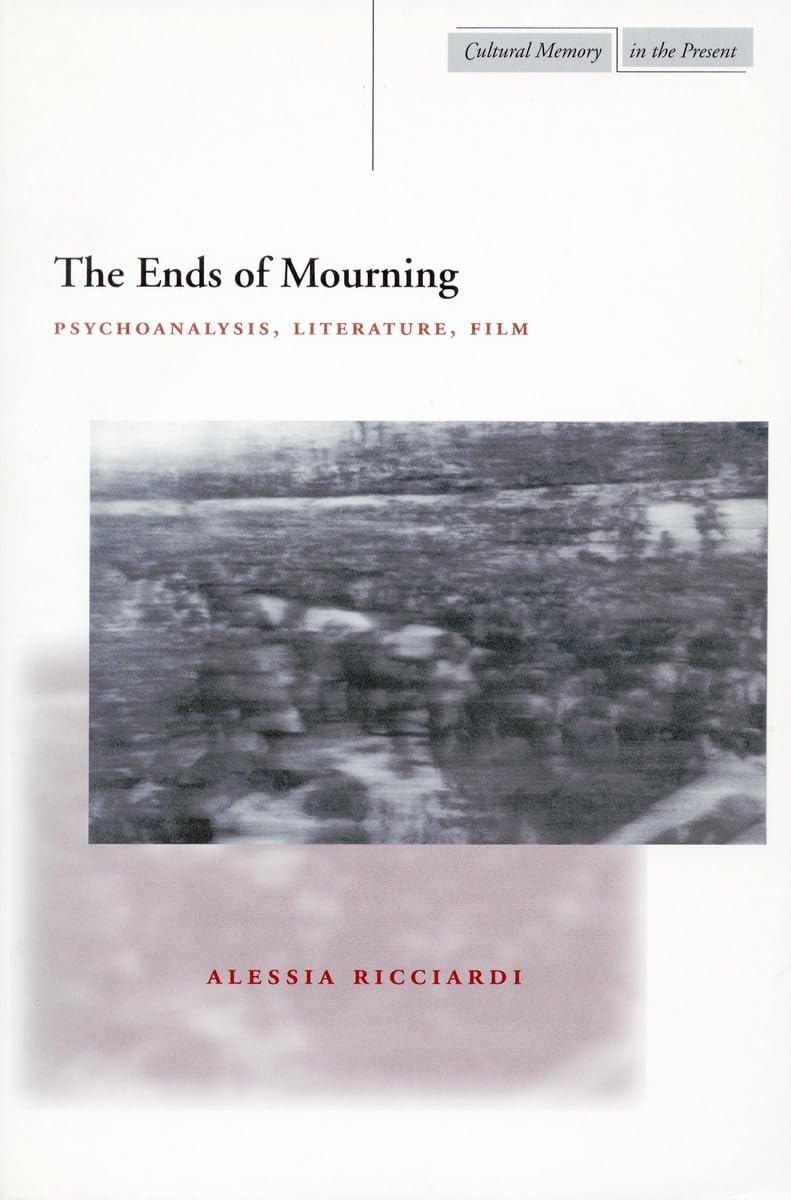 The Ends Of Mourning: Psychoanalysis, Literature, Film (Cultural Memory In The Present),Used