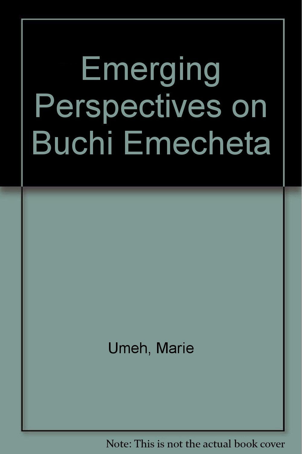Emerging Perspectives on Buchi Emecheta,Used
