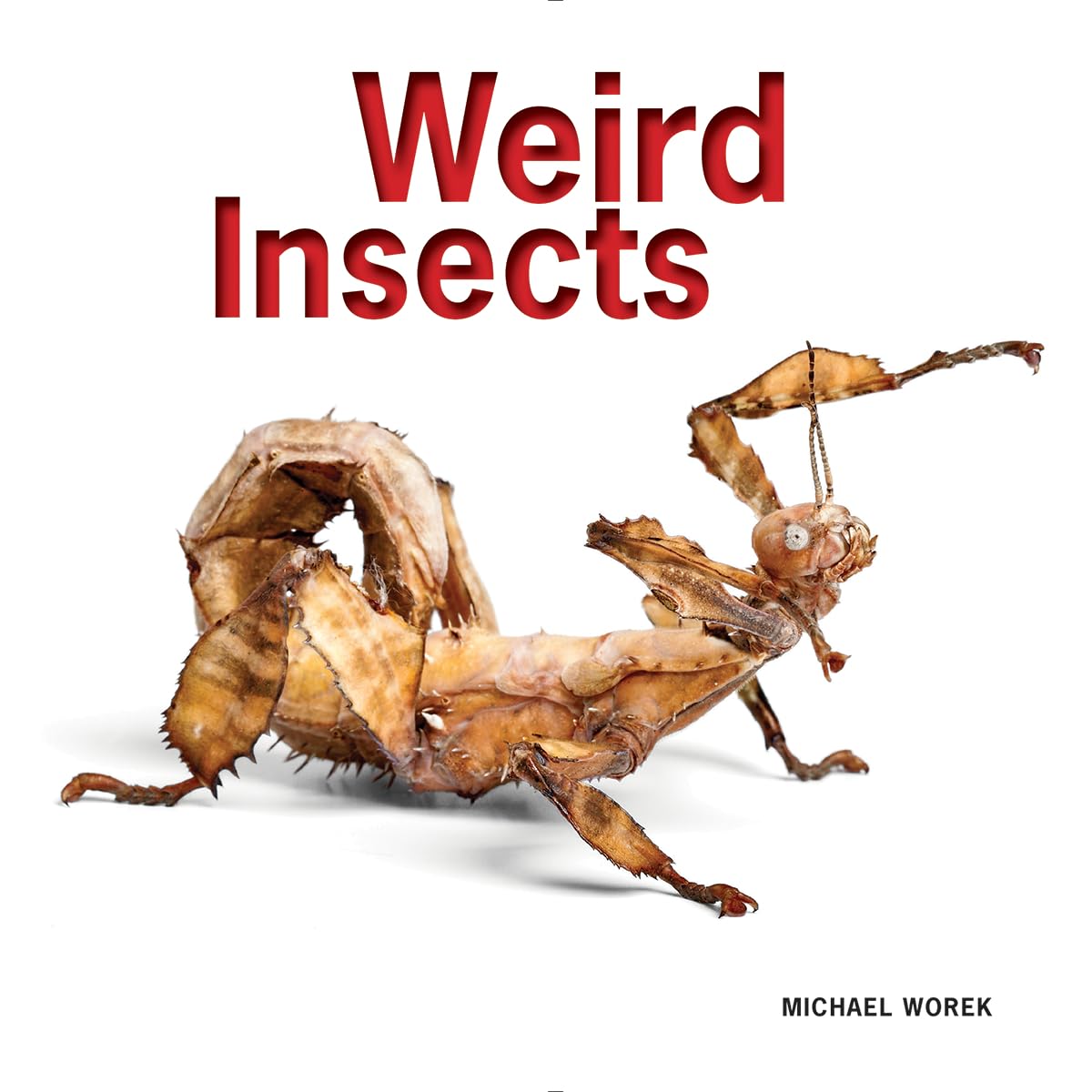 Weird Insects,Used