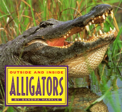 Outside And Inside Alligators,New