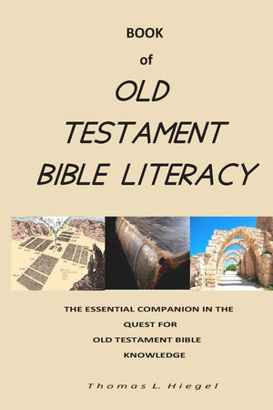 Book of Old Testament Bible Literacy,Used