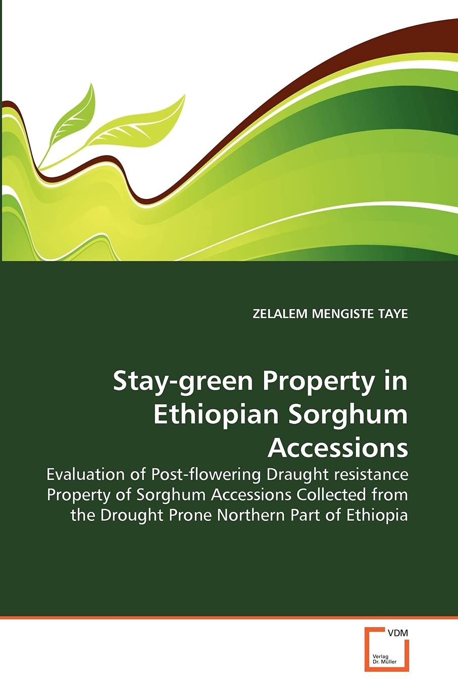 Staygreen Property in Ethiopian Sorghum Accessions: Evaluation of Postflowering Draught resistance Property of Sorghum Accessi,Used