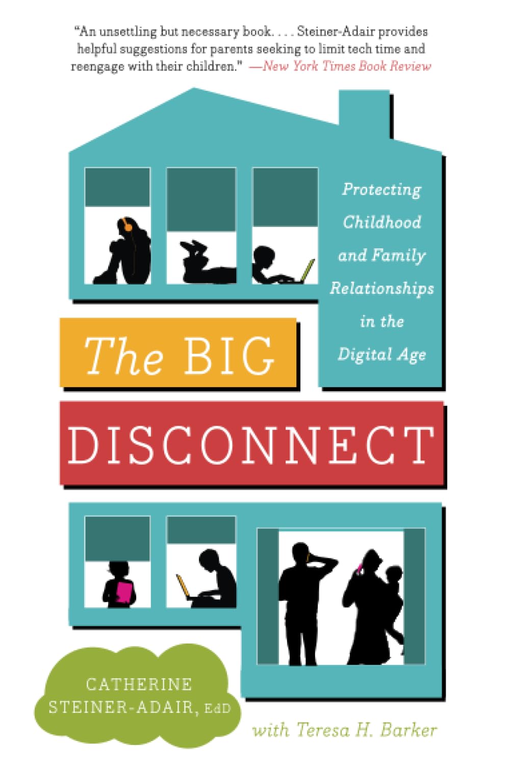 Big Disconnect-used