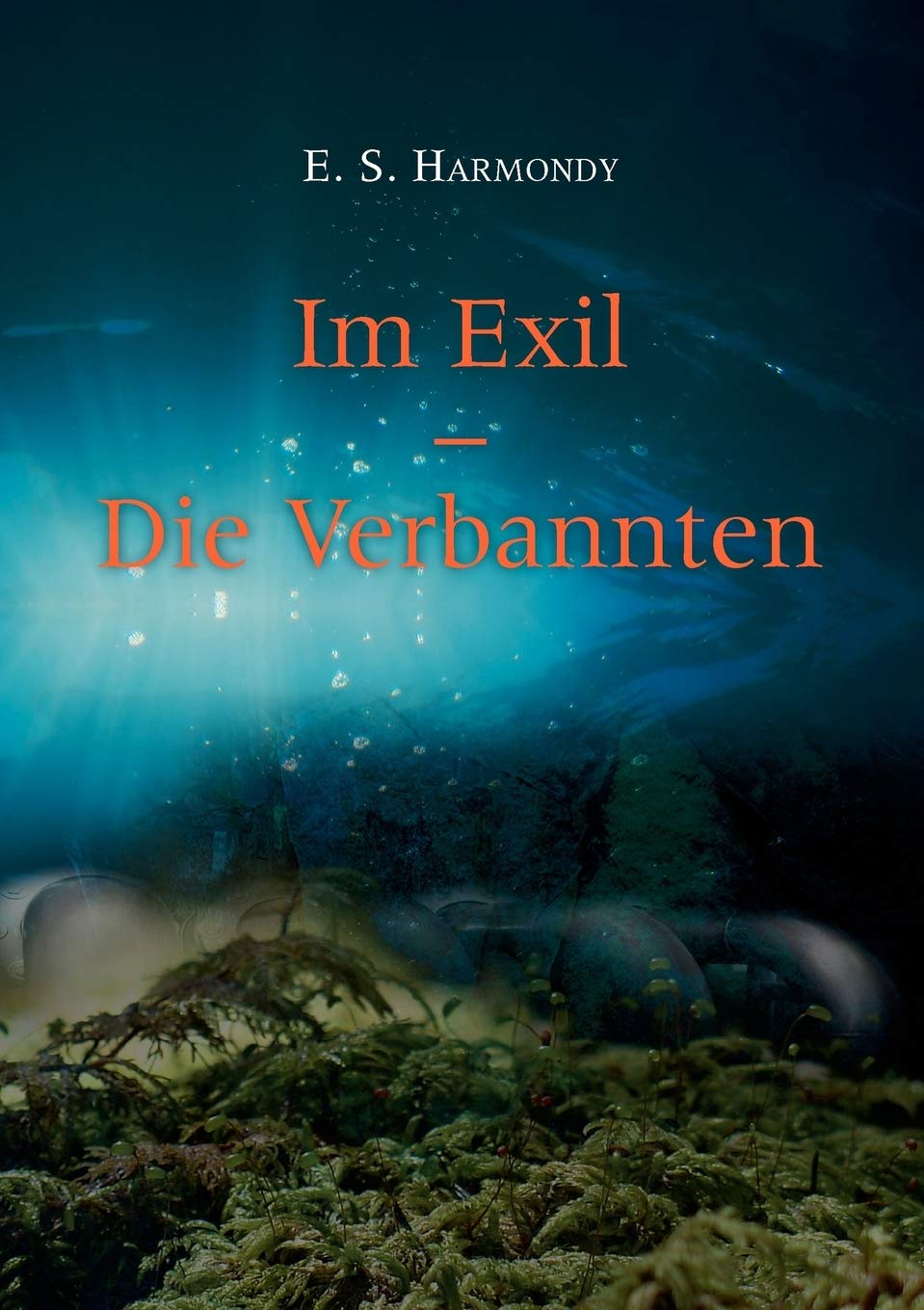 Im Exil  Die Verbannten (German Edition),Used